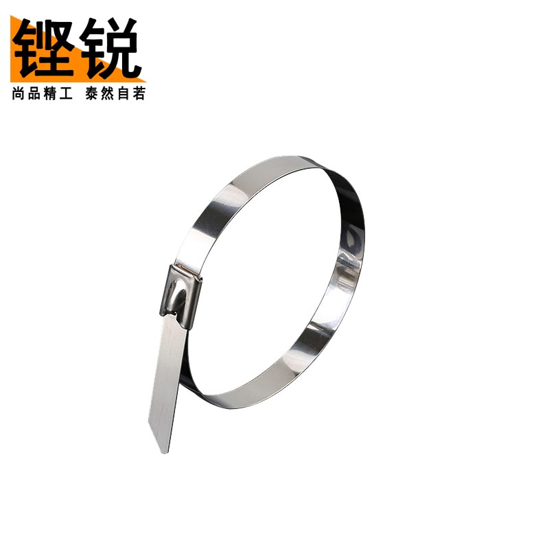 铿锐 不锈钢扎带 自锁式扎带高清大图