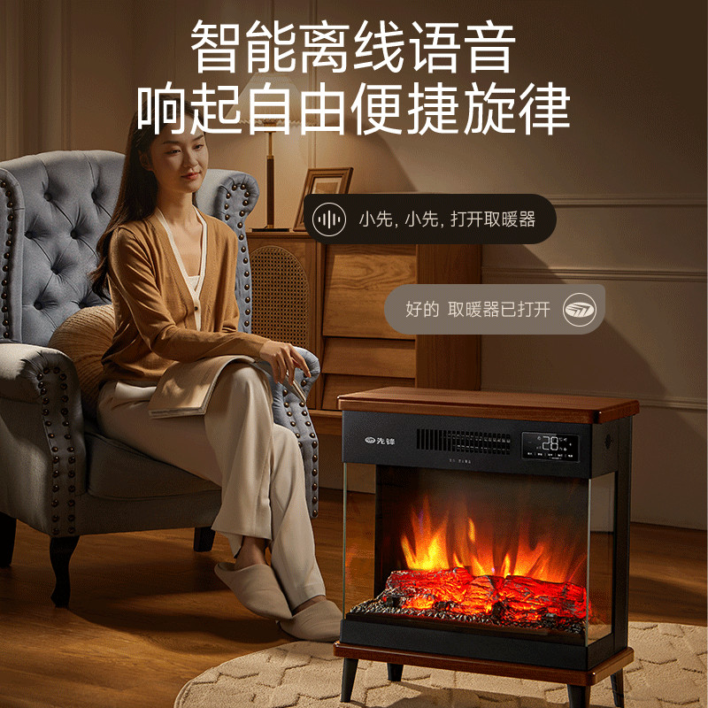 先锋(SINGFUN)石墨烯取暖器台地两用电暖器家用暖风机壁炉 LED数显屏离线语音木纹质感DBL-GY1R高清大图