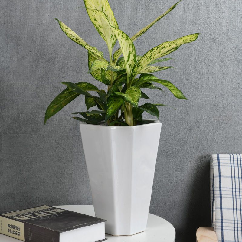 白色花盆陶瓷 特大号高款八角现代简约 家用种树绿植花瓶清仓批发 切