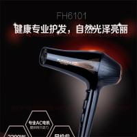 飞科电吹风FH6101