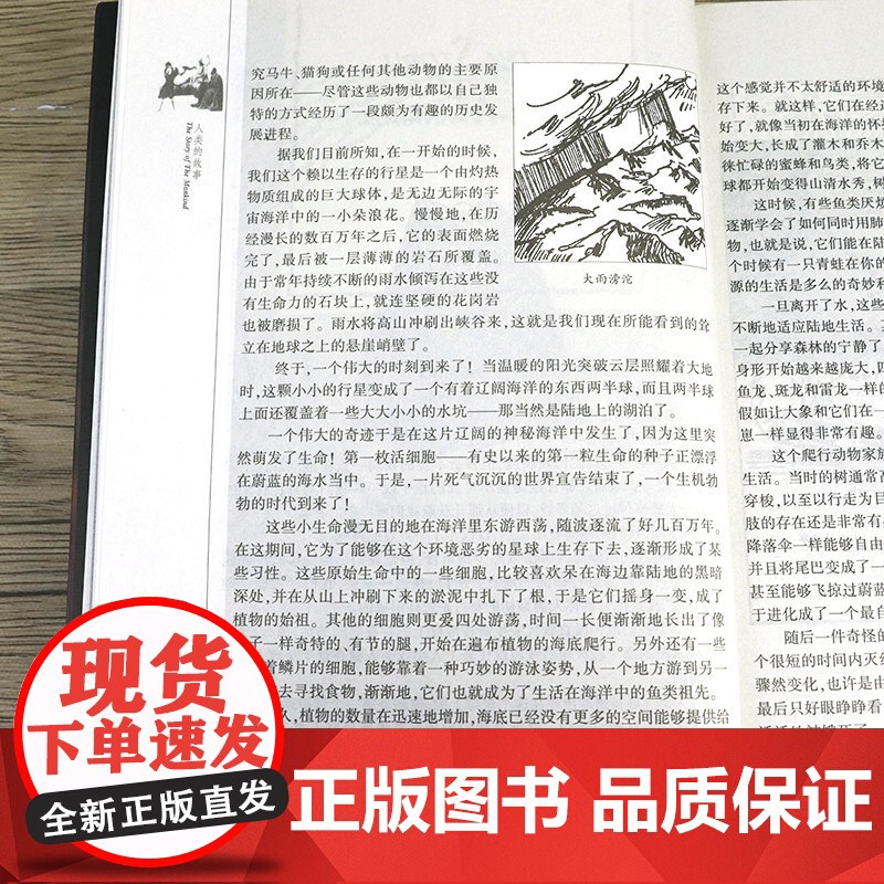 西方人文经典(共五册):房龙人文通识教育四部曲+威尔·杜兰特吉尔·摩西哲学文学的故事 人类的艺术宽容哲学文学的故事书籍高清大图