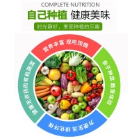 逍遥四季小香葱种子四季播农家菜种子阳台盆栽葱籽易种蔬菜籽小葱种子