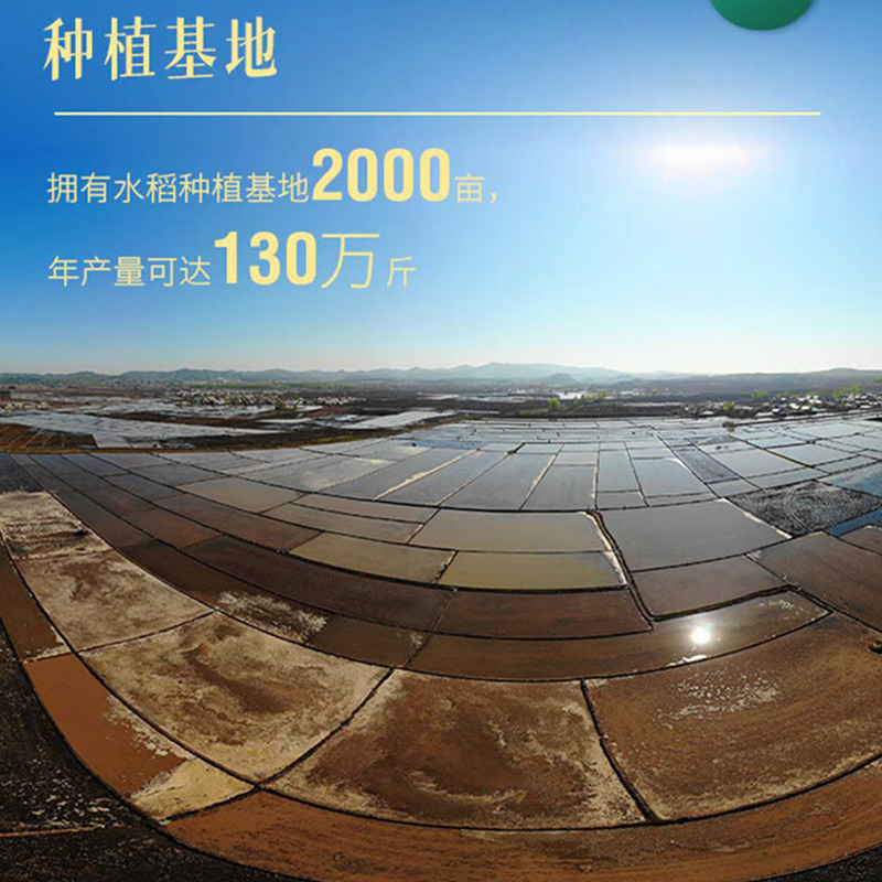 稻梁菽 五常大米中国年 2.5kg(单位:袋)高清大图