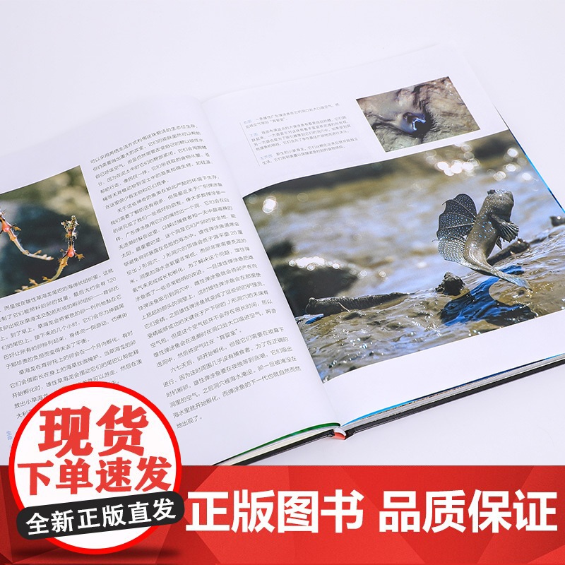 生命 非常的世界 BBC科普三部曲 入选2020年中小学生阅读指导目录 随书附赠解读课程 经典升级高清大图