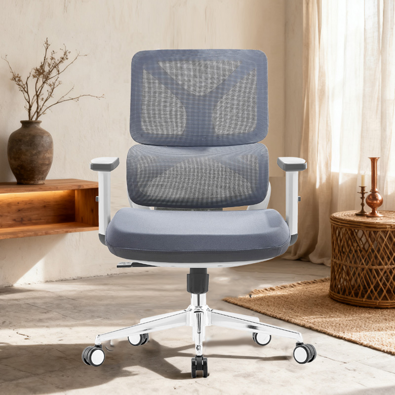 臻远 ZY-8940 办公椅人体工学椅转椅 定型棉白框 单位:把高清大图