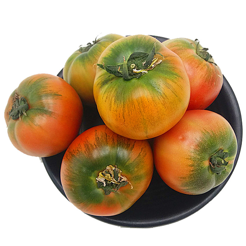 新鲜铁皮西红柿柿子 盐碱地草莓柿子油柿子番茄绿腚柿子 2.5kg