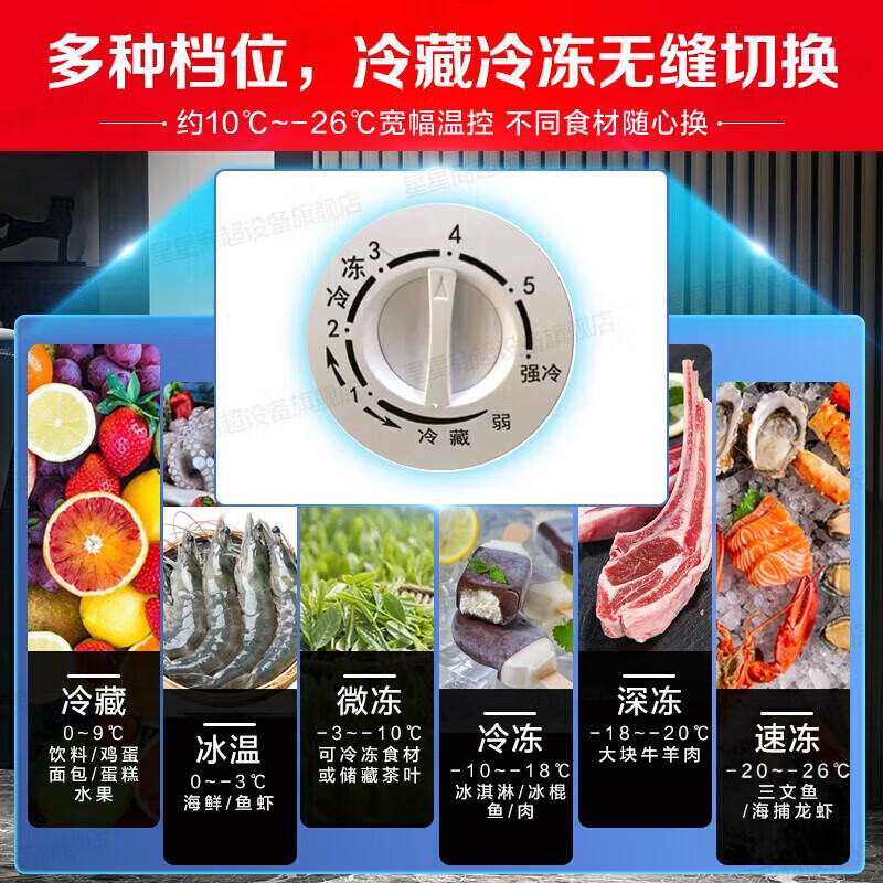 星星(XINGX) BD/BC-718GD冰柜718升商用卧式大冷柜 冷藏冷冻转换商用保鲜设备 雪糕冰冻柜急冻速冻大冰柜