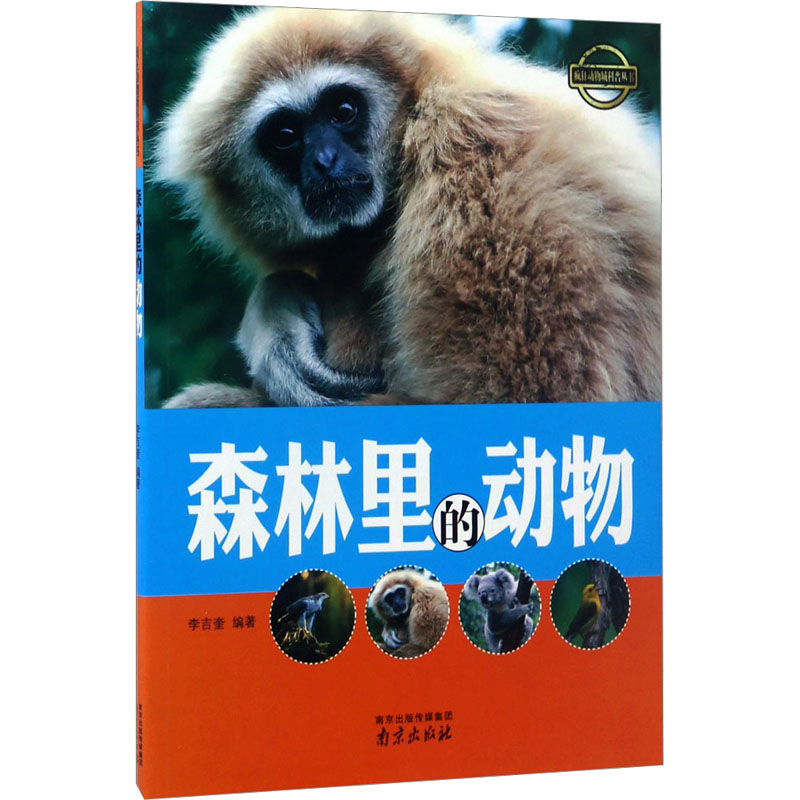 醉染图书森林里的动物9787553315508高清大图