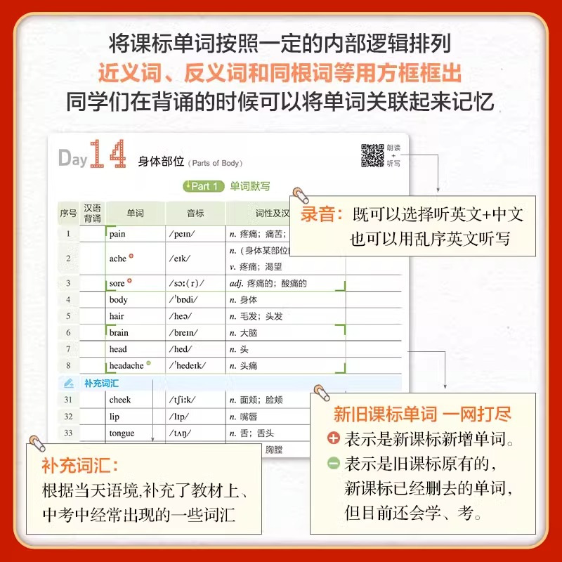 中考英语 <专项语法与单选> 初中通用 [正版]2024五三53语境背单词1600串记初中英语词汇语法全国版七八九年级初