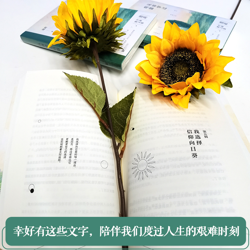 醉染图书从容穿过喧嚣9787559456519高清大图