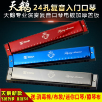 天鹅(Tian E)(SWAN)口琴高级_成人初学者专业28孔复音演奏级重音C调口风琴乐器 抖音