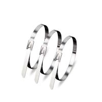 盛京联硕 不锈钢扎带 高强度户外收紧器7.9×550mm[100条]包