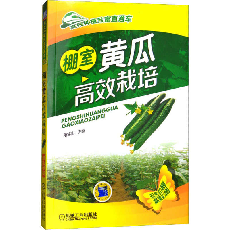 正版新书】棚室黄瓜高效栽培苗锦山 主编9787111496038