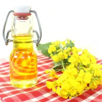 多力 葵花籽油 物理压榨 小桶食用油1.8L (600瓶起订)