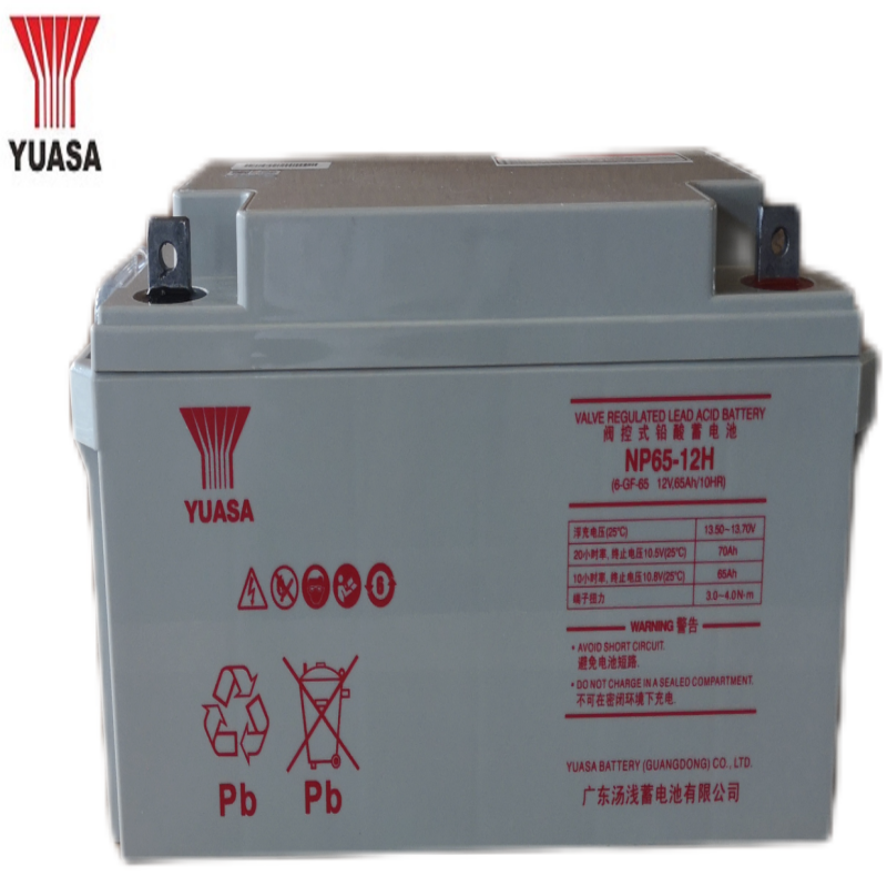 汤浅YUASA 铅酸蓄电池12V65Ah NP65-12H含配件安装 块