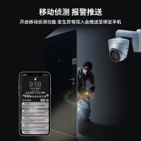 海康威视摄像头200万网络高清监控摄像头红外夜视30米监控设备监控器DS-IPC-T12H-I