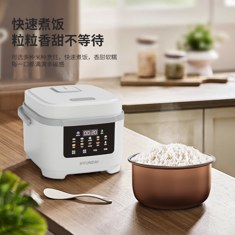HYUNDAI(韩国现代)智能多功能电饭煲 FBD40-7A9高清大图