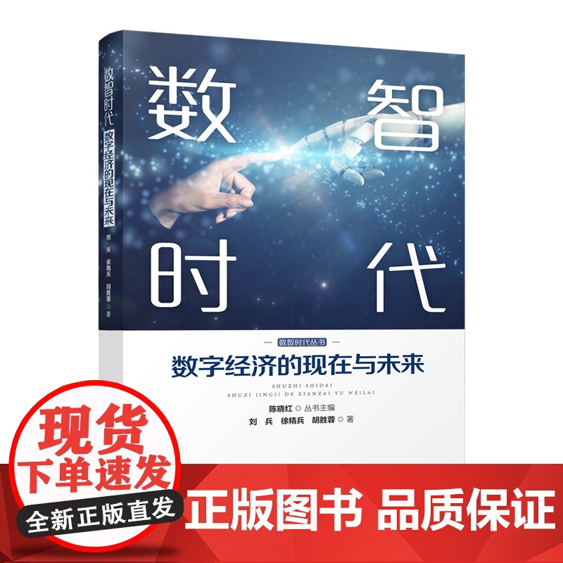【正版】数智时代:数字经济的现在与未来 刘兵、徐精兵、胡胜著(系统地梳理数字经济发展体系框架和发展趋势)湖南人民出版社