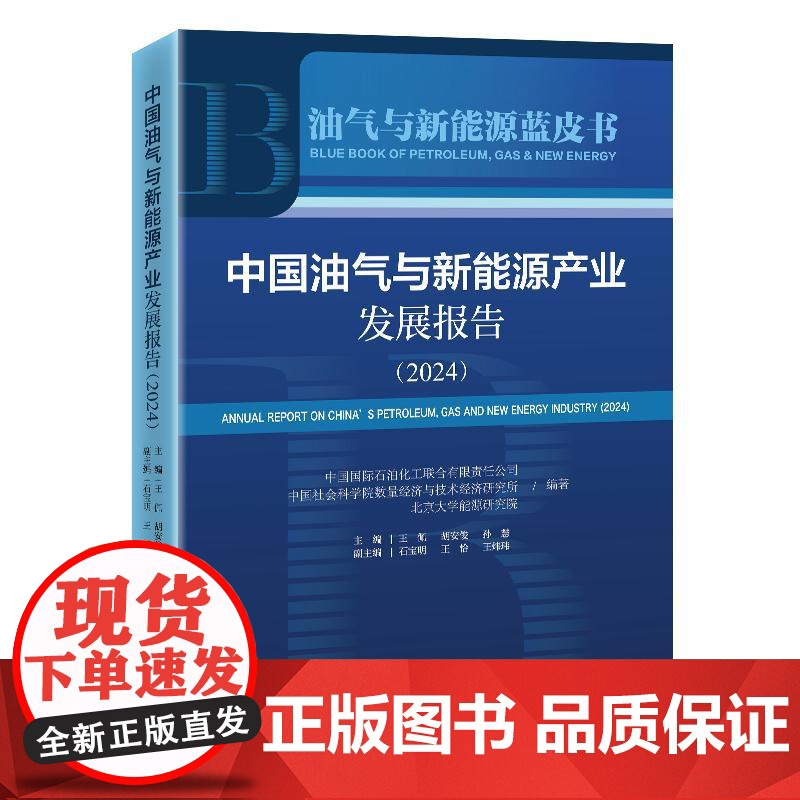 书全2册]中国油气与新能源市场发展报告(2025)中国石油规划总院编+中国油气与新能源产业发展报告(2024)高清大图