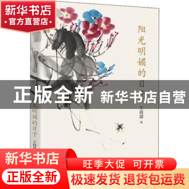 正版 阳光明媚的日子 王晓超著 广东人民出版社 9787218158402 书图片