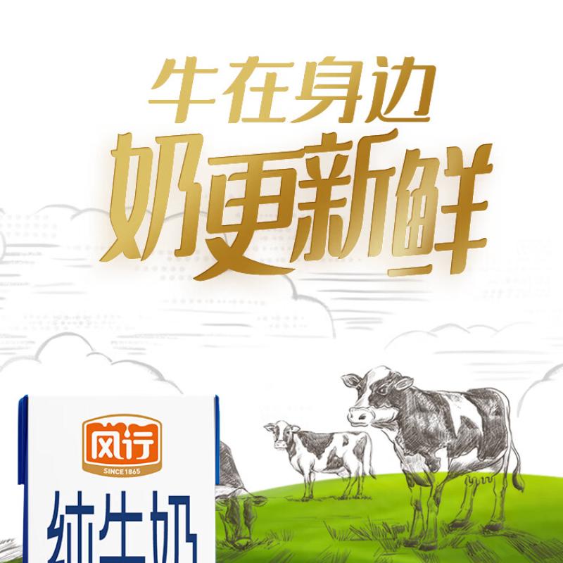 风行 营养牛奶纯牛奶整箱装200ml*10盒高清大图