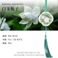 别样花季 石膏香挂 白玉栀子