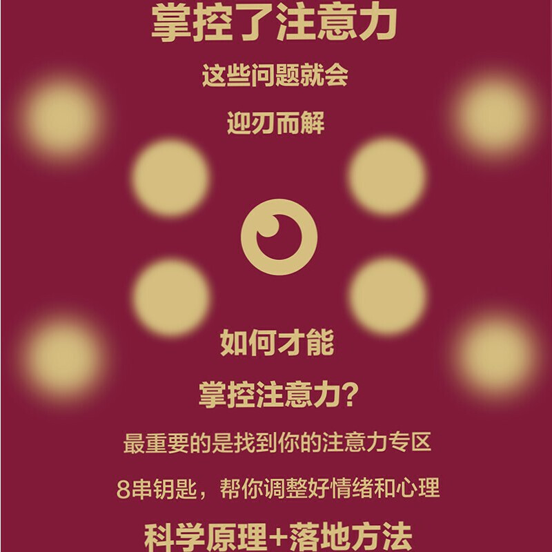 [正版]掌控注意力 打败分心与焦虑 精 美 露西·乔·帕拉迪诺 中国人民大学出版社 9787300295831心理学