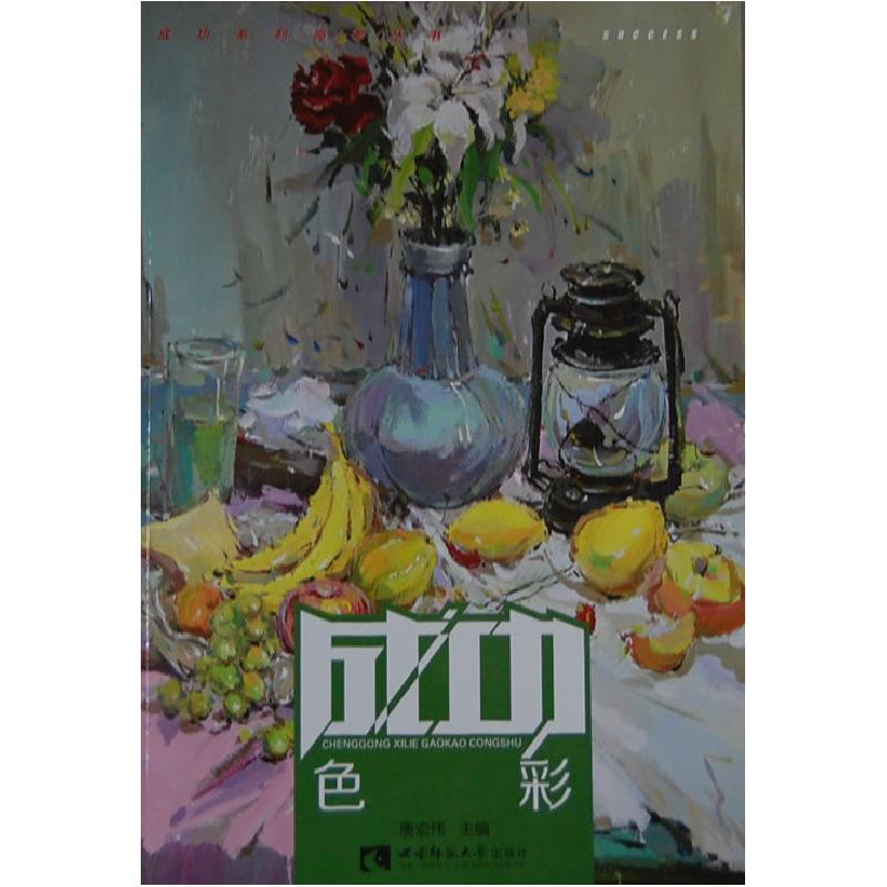 正版新书】成功系列高考丛书:色彩唐宏伟 著9787562165064