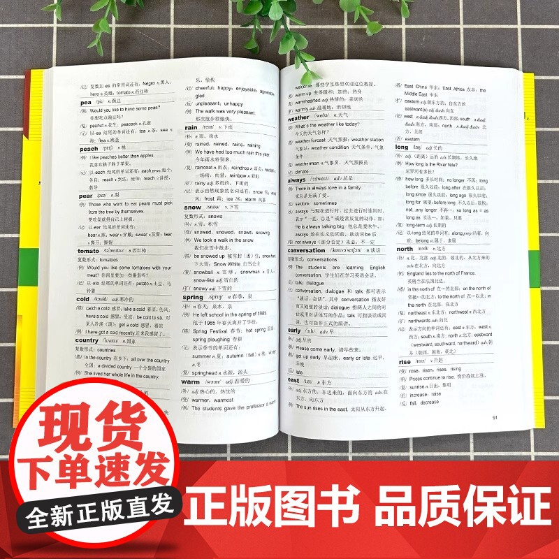 正版 新概念英语单词循环速记手抄本 词汇详解版1 搭配新概念英语1英语初阶第一册教材 英语综合教程 英语零基础入学习参考高清大图