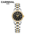瑞士嘉年华Carnival正品新款手表自动机械表 女士休闲时尚满天星水钻商务女表夜光防水金属精钢腕表JNH8678 间金黑面钢带