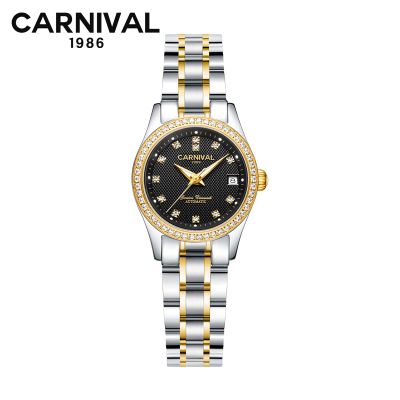 瑞士嘉年华Carnival正品新款手表自动机械表 女士休闲时尚满天星水钻商务女表夜光防水金属精钢腕表JNH8678 间金黑面钢带