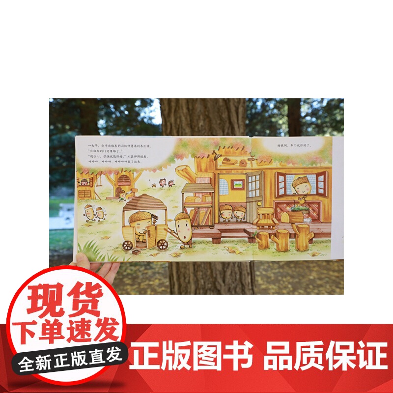 壳斗村的木匠师傅 创造力 分享 匠人精神 认识工具 邻里关系 社会启蒙 梦想与成长故事绘本 附趣味手工高清大图
