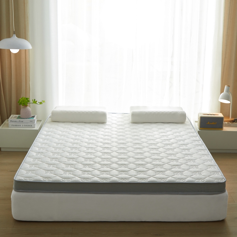 红蜻蜓乳胶床垫软垫家用记忆海绵榻榻米垫子床褥学生宿舍租房专用