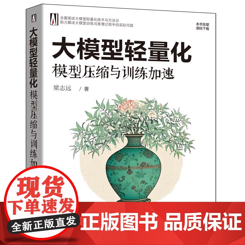 [正版新书]大模型轻量化:模型压缩与训练加速 梁志远 清华大学出版社 计算机高清大图
