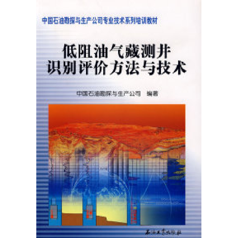 正版新书】低阻油气藏测井识别评价方法与技术中国石油勘探与生产