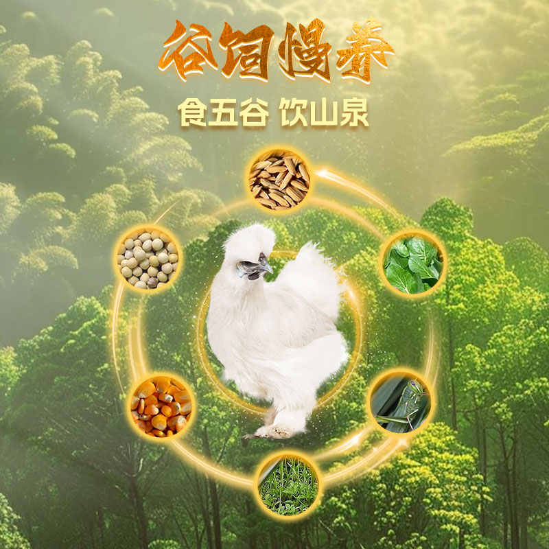 雀淘 白羽乌鸡800g/只 2只装 新鲜现杀冷冻肉质鲜美农家慢养整只顺丰发货高清大图