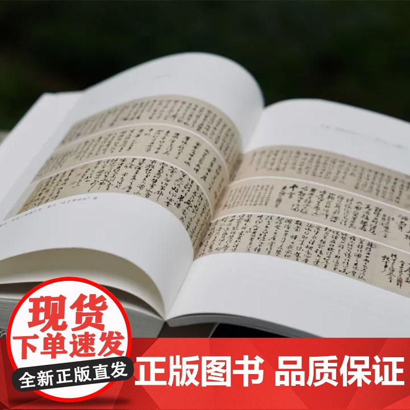 《张弼年谱》中国美术学院出版社正版 史桢英著高清大图