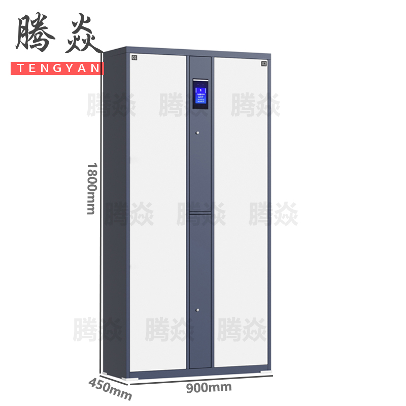 腾焱智能更衣柜二门台高清大图
