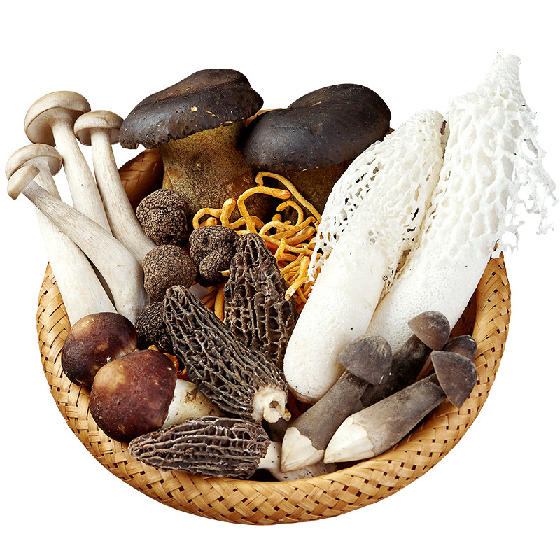 【云南特产馆】 新鲜菌菇组合羊肚菌虎松茸蘑菇火锅煲汤食材菌子