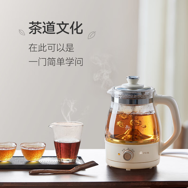 小熊(Bear)小型迷你喷淋式养生壶1L电热水壶ZCQ-A10X3 不锈钢滤网高清大图