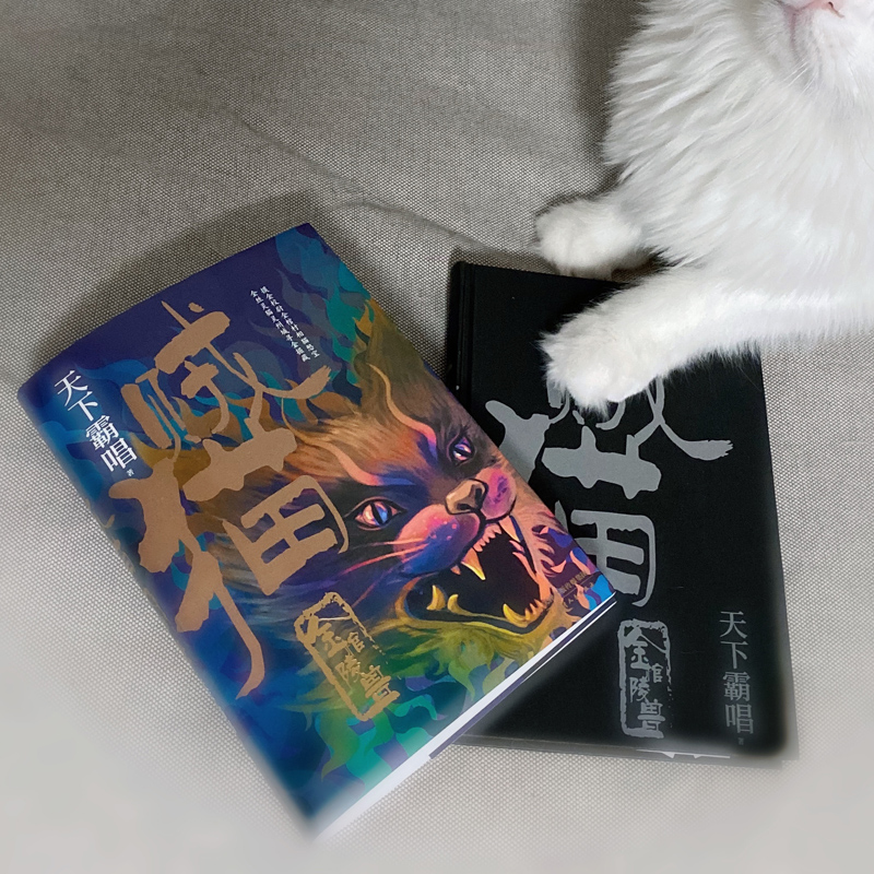 醉染图书贼猫 金棺陵兽9787201150000高清大图