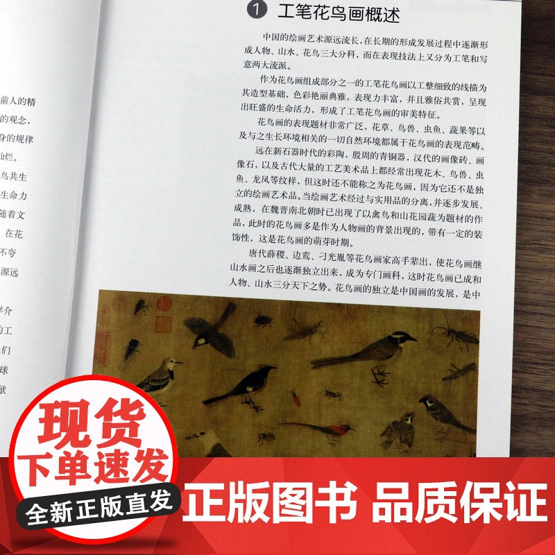 国画入门工笔花鸟画法 绘画入门系列丛书中国画工笔白描花鸟入门教程正统工笔花鸟技法 绘画步骤图技巧解析临摹范本教材书籍高清大图