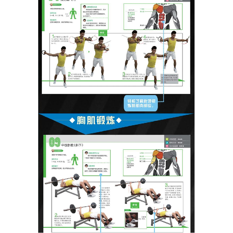 正版 器械健身实战宝典 成振 人民邮电出版社 9787115401076 书籍高清大图