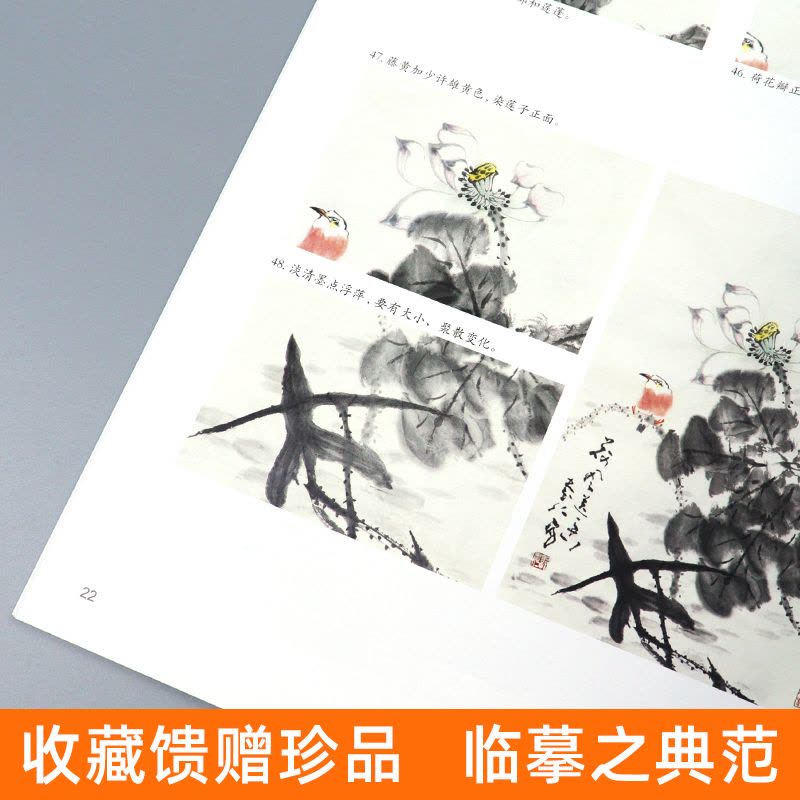 [醉染正版]正版 写意菊花荷花大家技法谈 多步骤 多局部 多范围 艺术教程绘画技法初学者入门培训彩色步骤白描底稿上色图片
