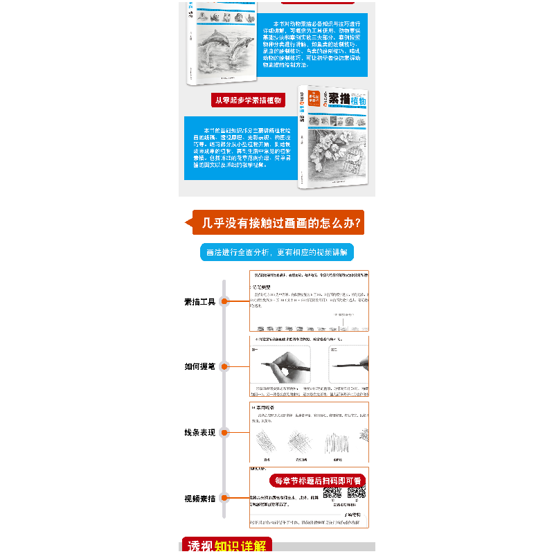 正版新书]从零起步学素描:人物+动物+风景+植物(套装共4册 扫高清大图