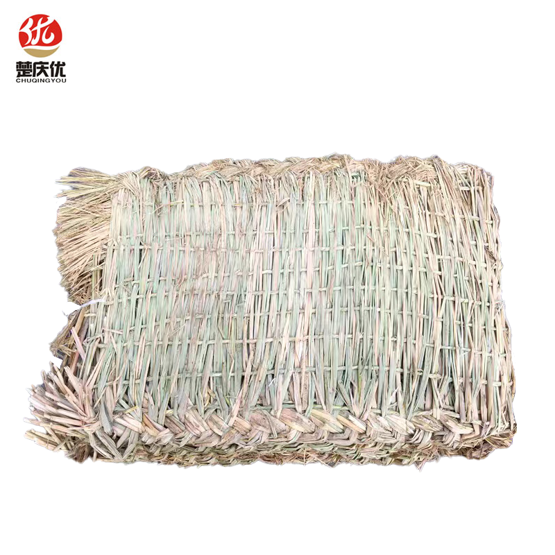 楚庆优 草垫 40*70cm 块高清大图