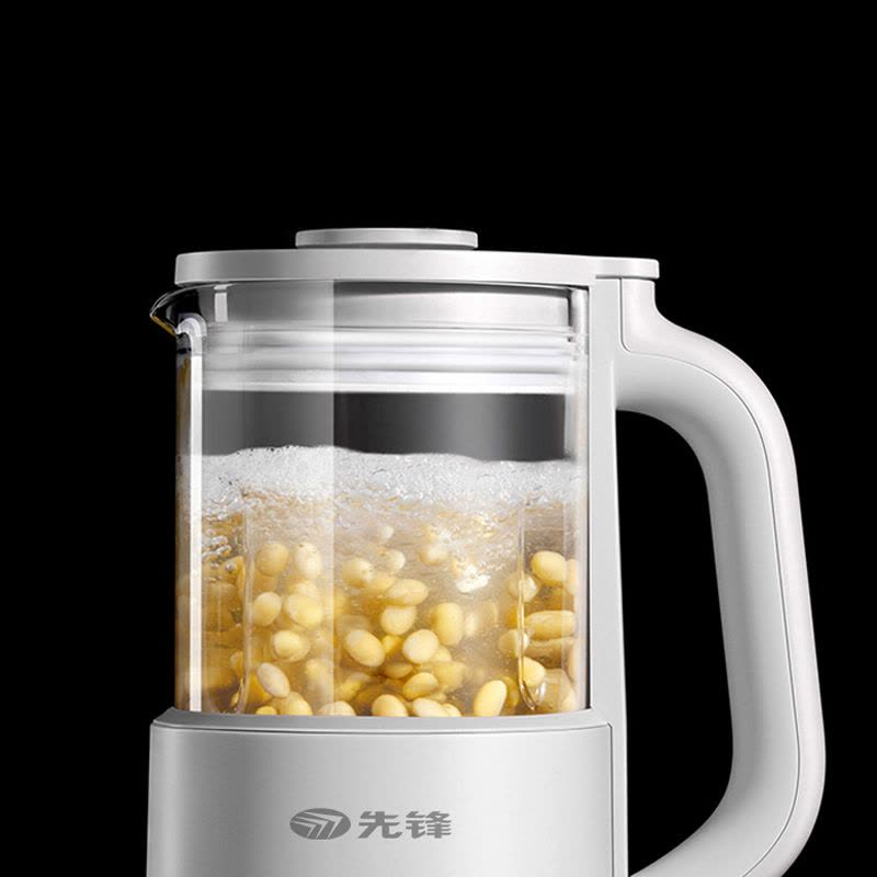 先锋DPB-0601R豆浆机图片