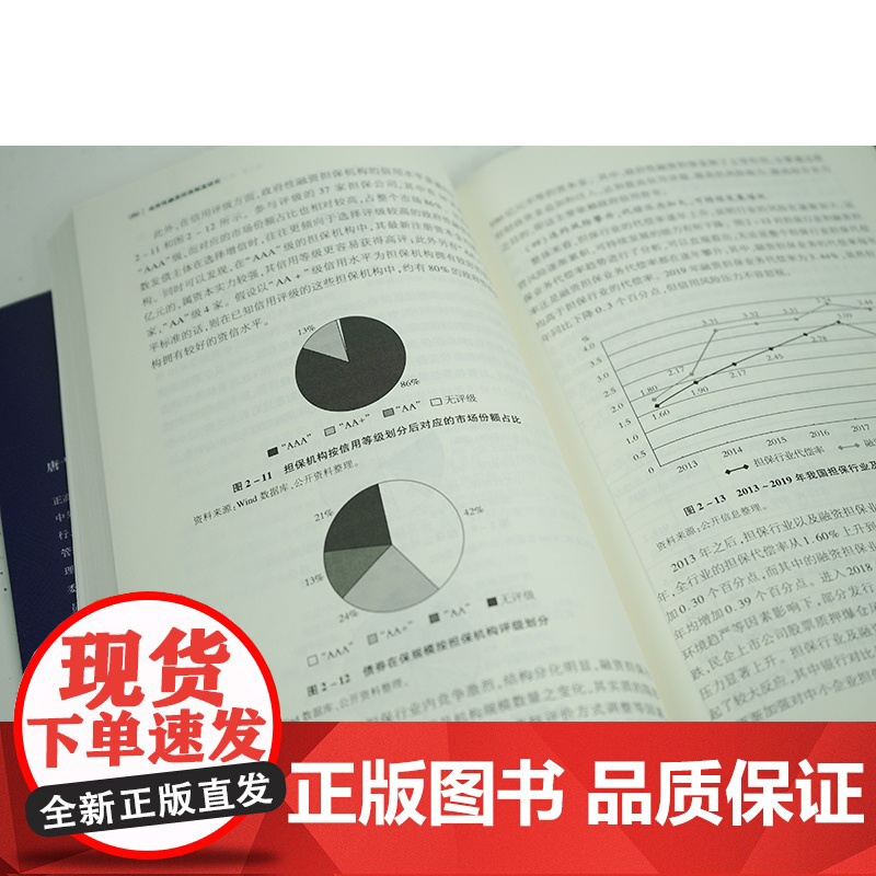 2023新书 政府性融资担保制度研究 唐弋夫著 法律出版社高清大图