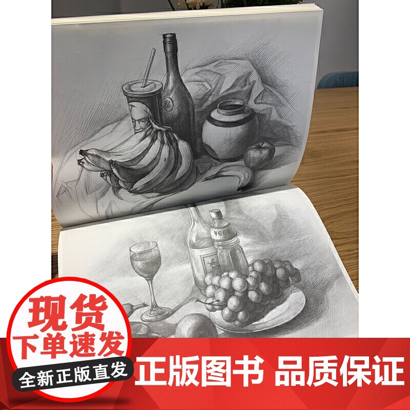 素描·静物——零起点美术技法入门系列高清大图