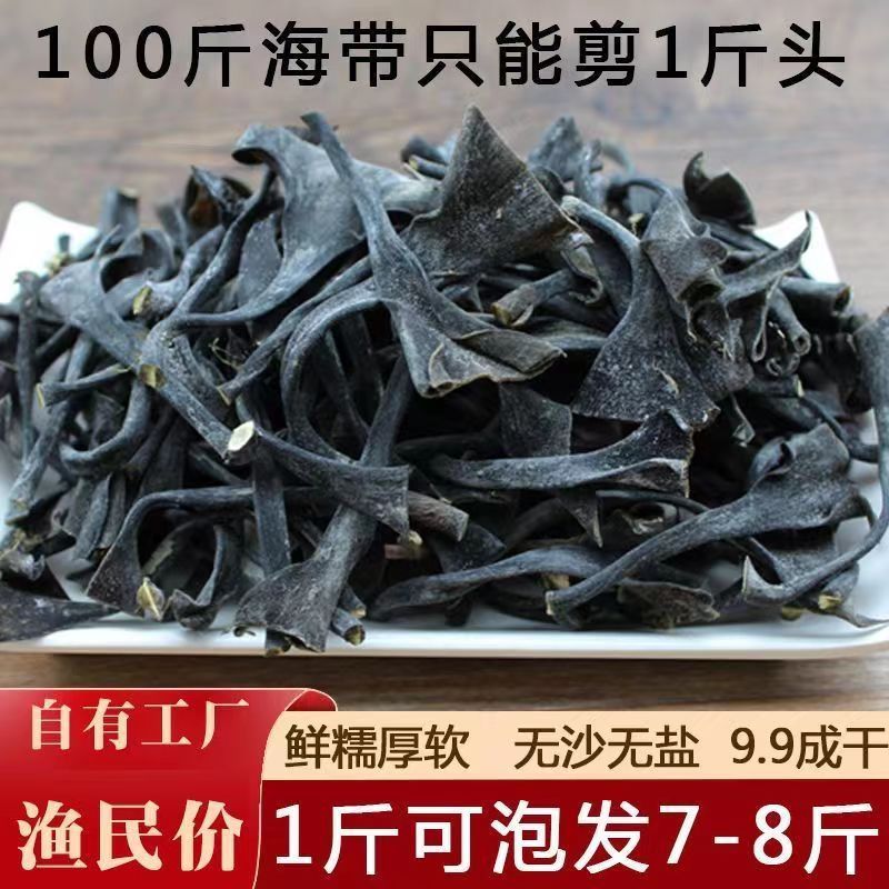 福建霞浦【新货】海带头干货厚实软糯海带根特厚海带梗 500g（1斤正宗海带头【可浸10斤】